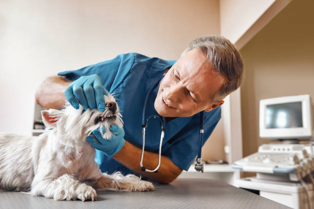 Best Emergency Tooth Extraction  in Smithville Sanders, IN
