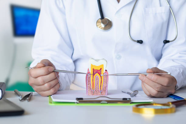 Best Dentist Open on Weekends  in Smithville Sanders, IN